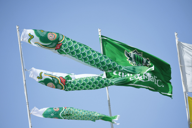 yamaga koinobori.jpg